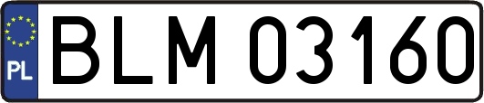 BLM03160