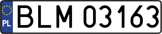 BLM03163