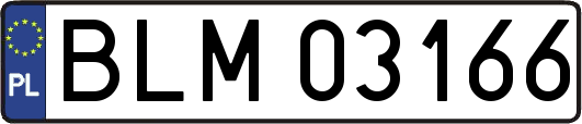 BLM03166