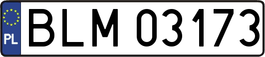 BLM03173