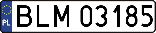 BLM03185
