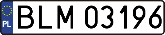 BLM03196