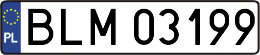 BLM03199