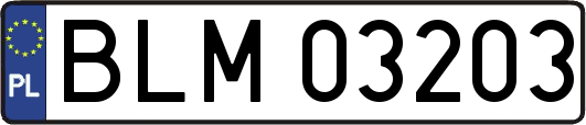 BLM03203