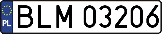 BLM03206