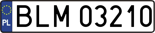 BLM03210