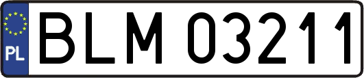 BLM03211