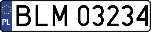 BLM03234