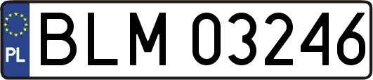 BLM03246