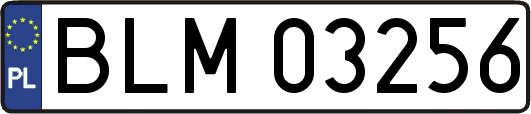 BLM03256