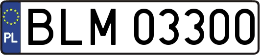 BLM03300