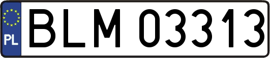BLM03313