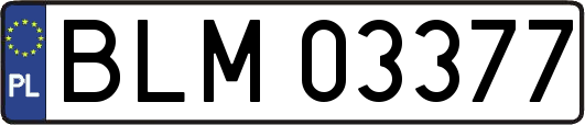 BLM03377