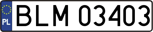 BLM03403