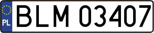 BLM03407