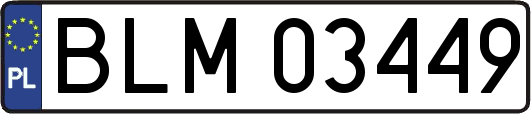 BLM03449
