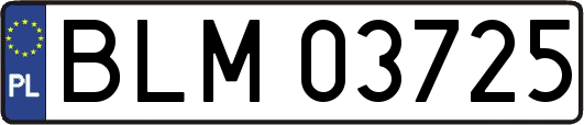 BLM03725