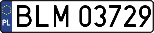 BLM03729