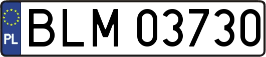 BLM03730