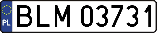 BLM03731
