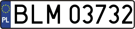 BLM03732