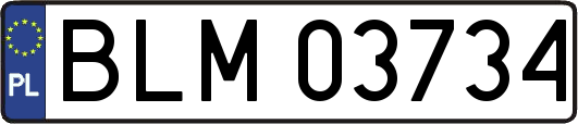 BLM03734