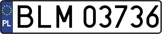 BLM03736