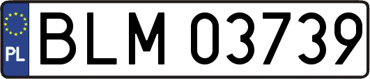 BLM03739