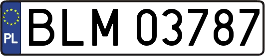 BLM03787