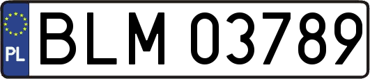 BLM03789
