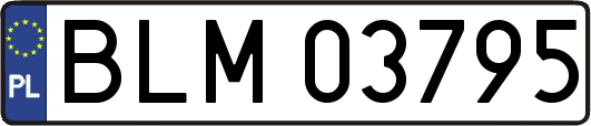 BLM03795