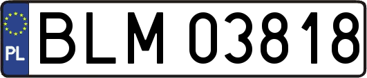 BLM03818