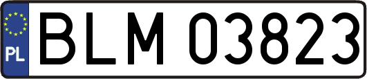 BLM03823