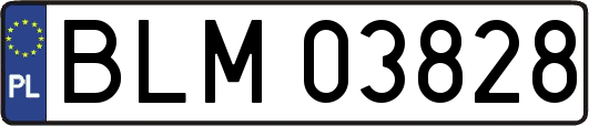 BLM03828