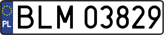 BLM03829