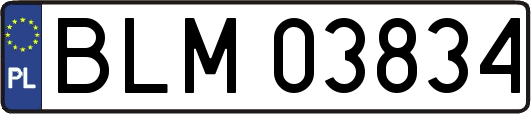 BLM03834