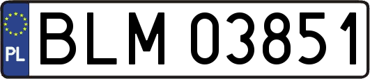 BLM03851