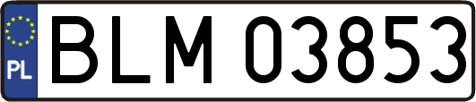 BLM03853