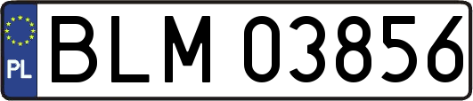 BLM03856