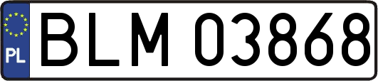 BLM03868