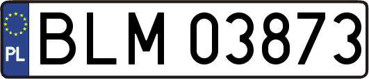 BLM03873
