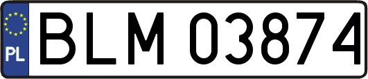 BLM03874