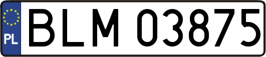 BLM03875