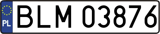 BLM03876