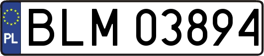 BLM03894