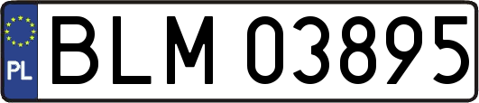 BLM03895