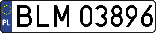 BLM03896