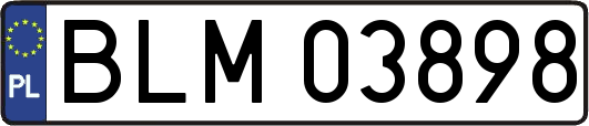 BLM03898