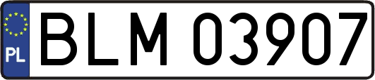 BLM03907