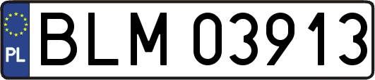 BLM03913